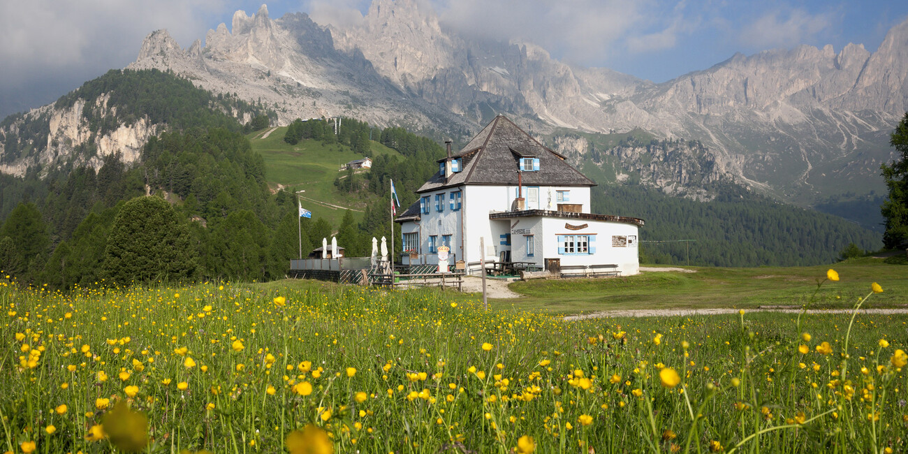 Punto panoramico Ciampedie - Catinaccio #9