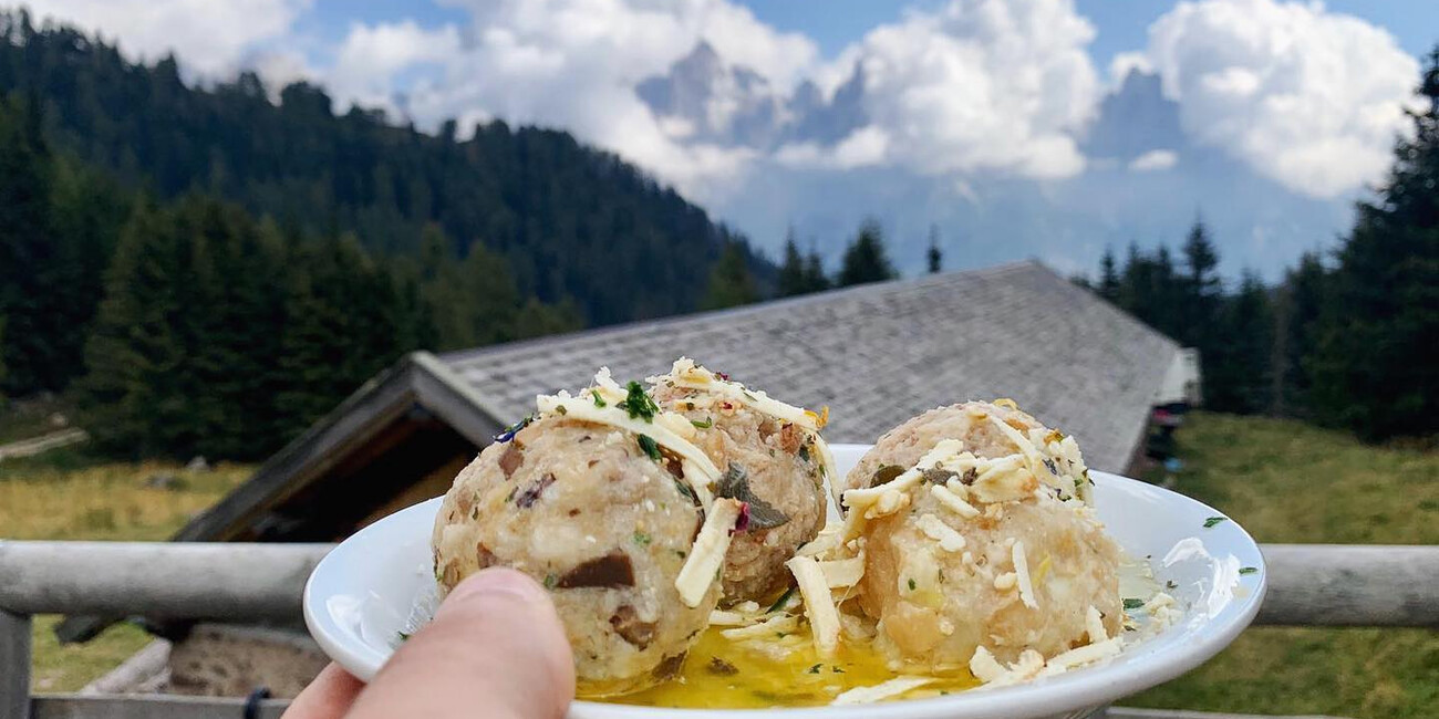 Malga Valcigolera #2