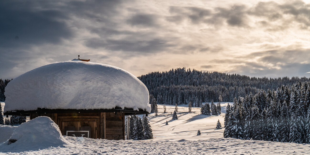 Malga Millegrobbe #2