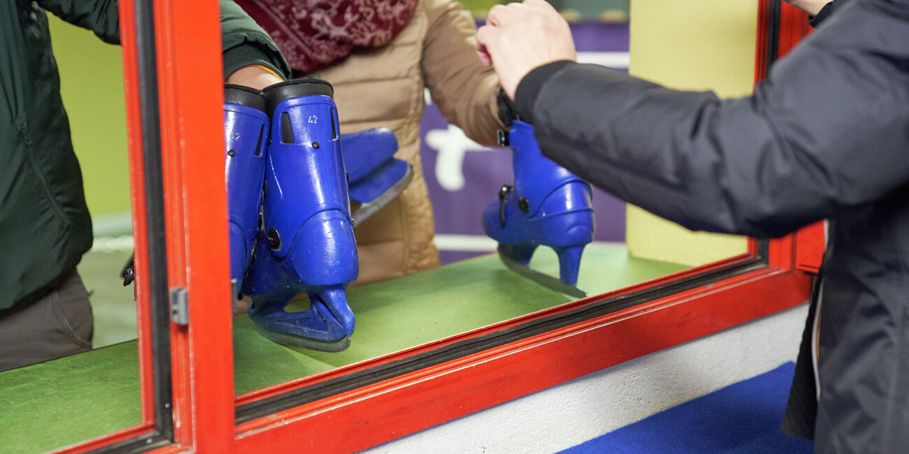 Palaghiaccio Pinzolo #7