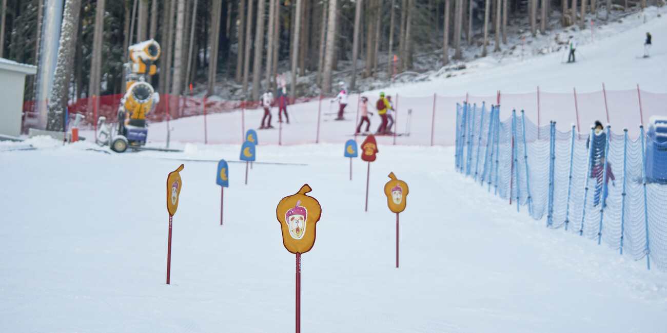 Marillandia - Marilleva 1400 #6