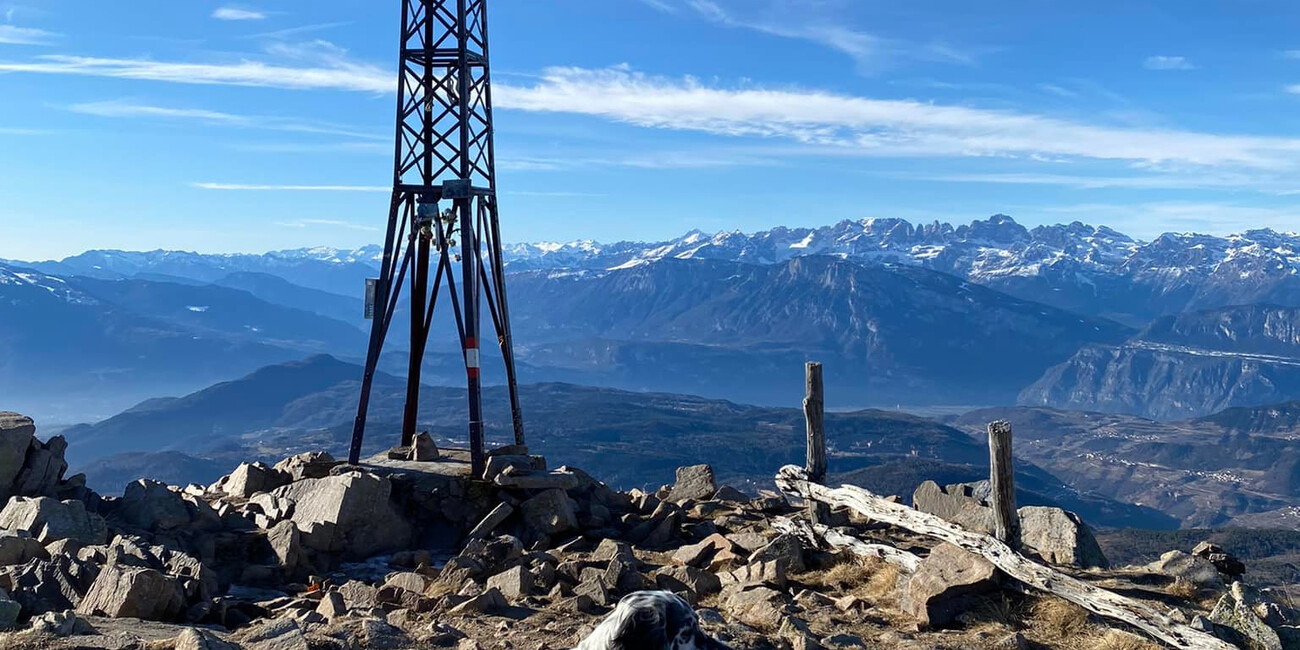 Punto panoramico Dosso di Costalta #3