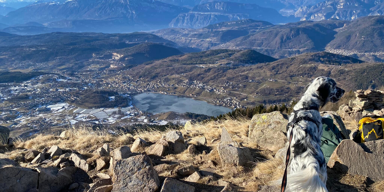 Punto panoramico Dosso di Costalta #4