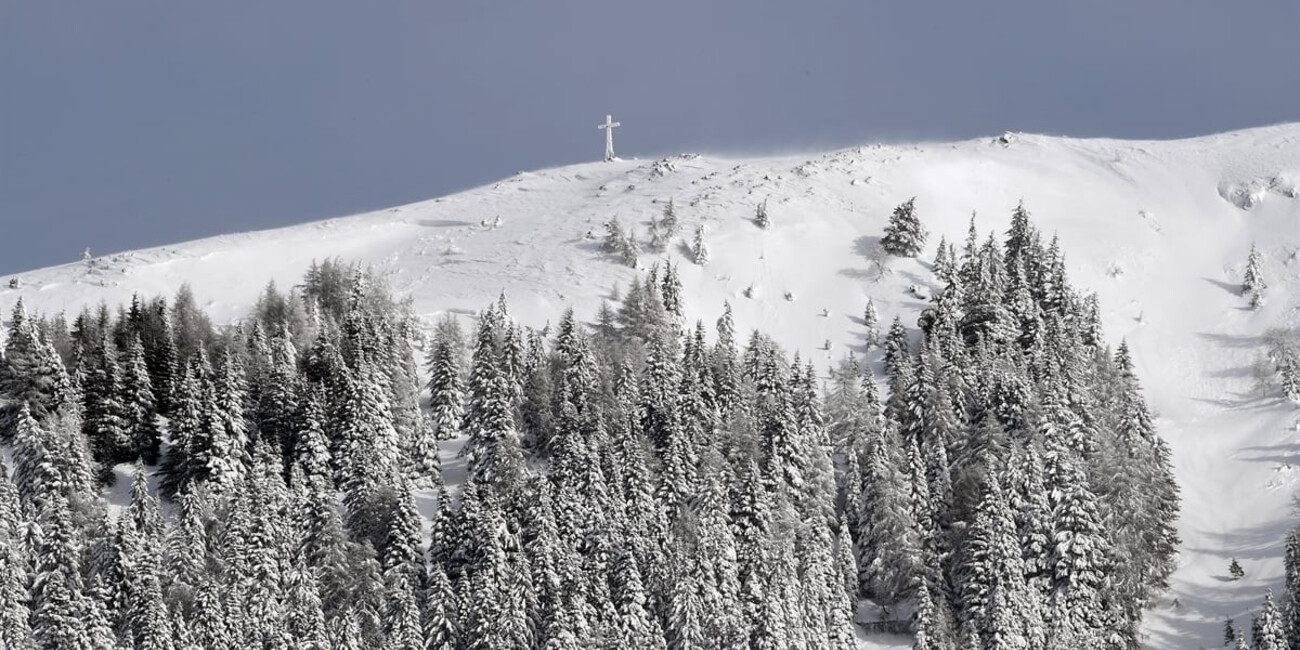 Punto panoramico Dosso di Costalta #6