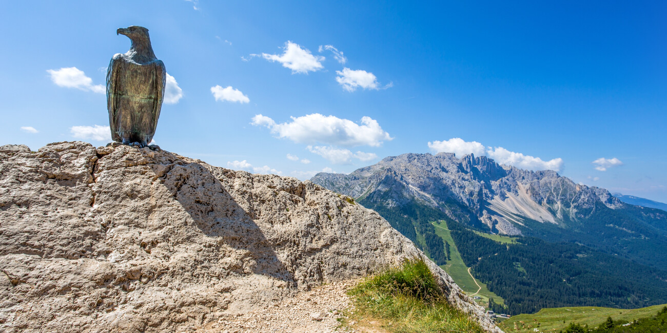 Punto panoramico Passo Costalunga - Paolina #3