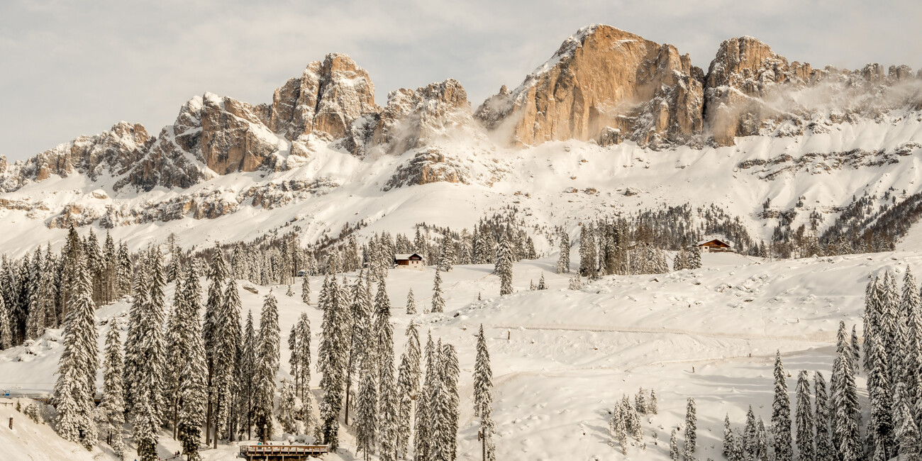 Punto panoramico Passo Costalunga - Paolina #12