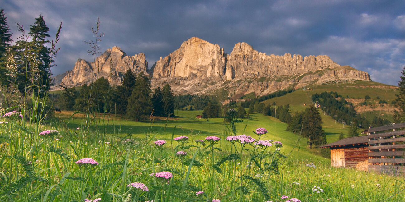 Punto panoramico Passo Costalunga - Paolina #2