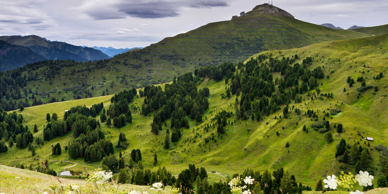 Punto panoramico Col Rodella #5