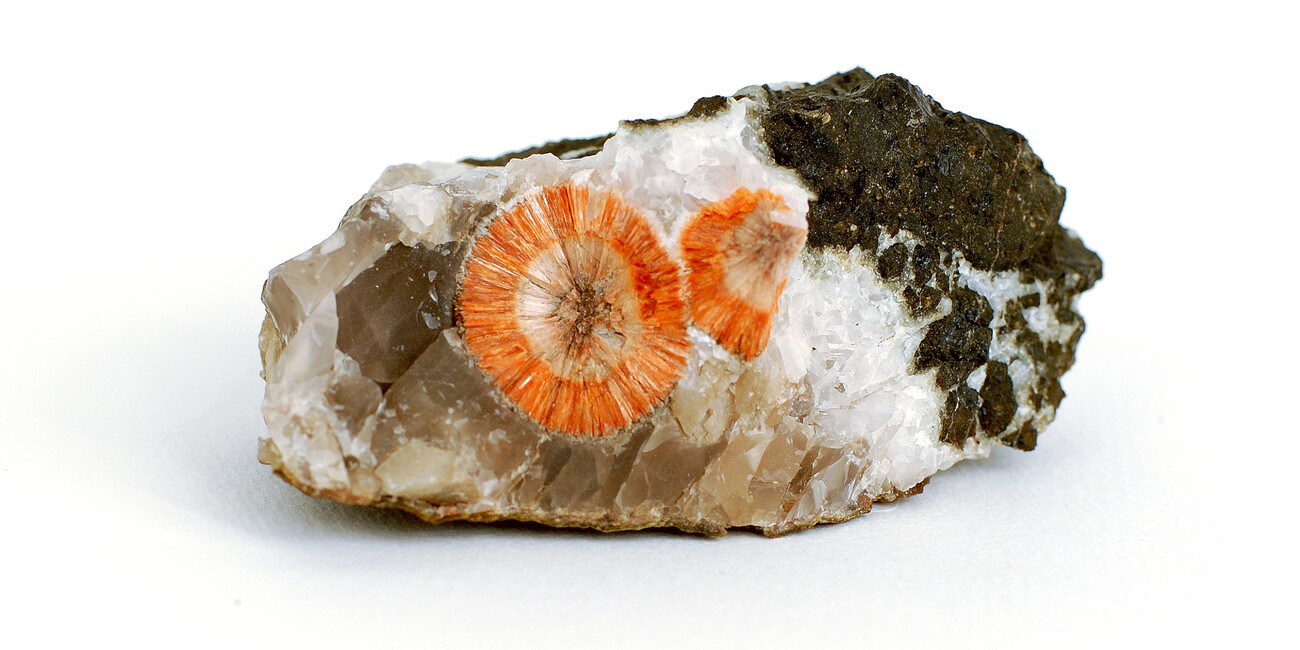 Museo Mineralogico Monzoni #6