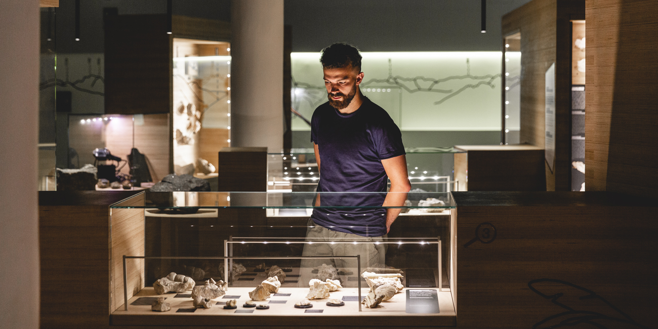 Museo geologico delle Dolomiti #1