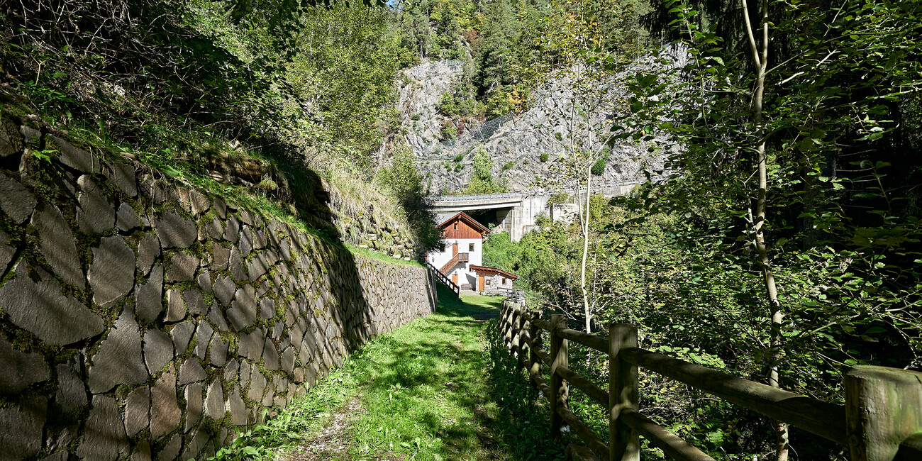 © Paolo Bisti - Luconi 