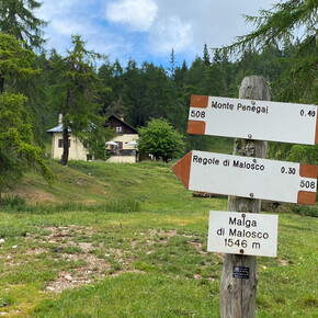 Val di Non - Malga di Malosco