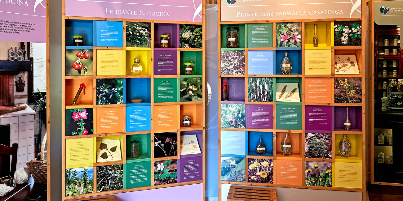 © Paolo Bisti - Luconi 