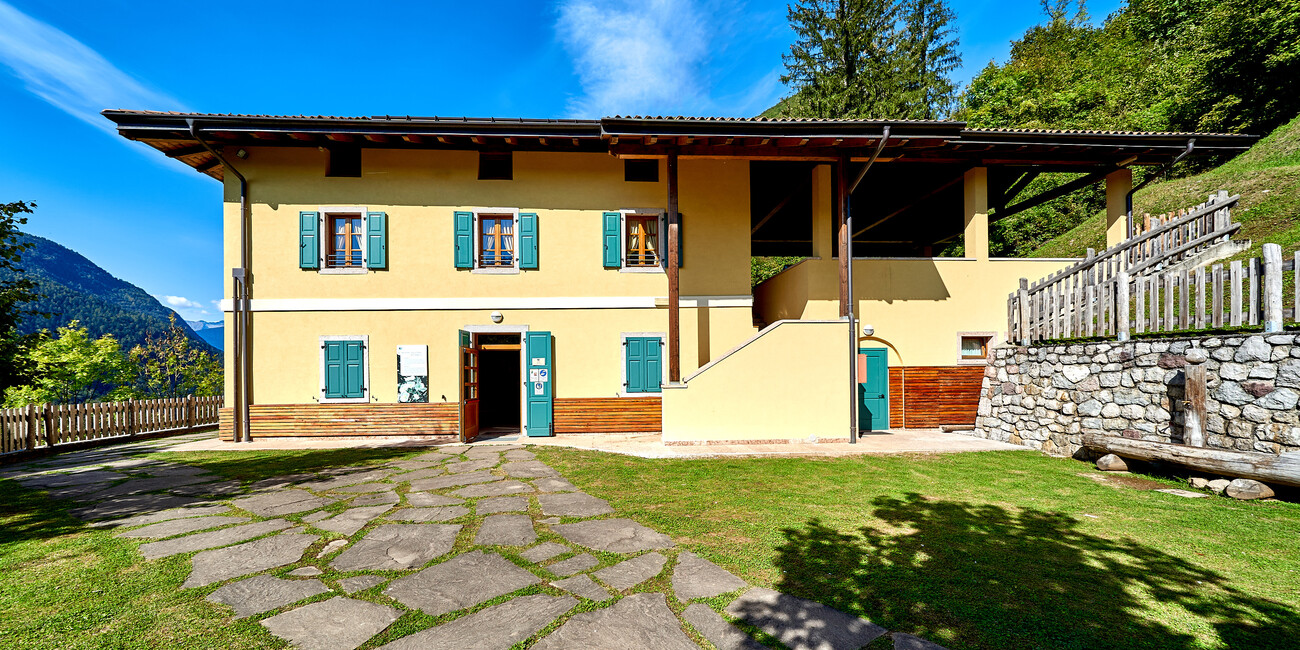 © Paolo Bisti - Luconi 