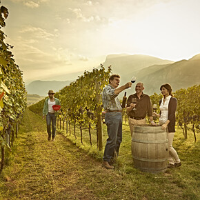Wein-Trekking im Trentino