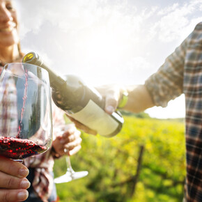 Wein-Trekking im Trentino