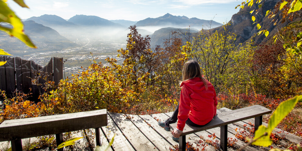 Dalla Terrazza Belvedere