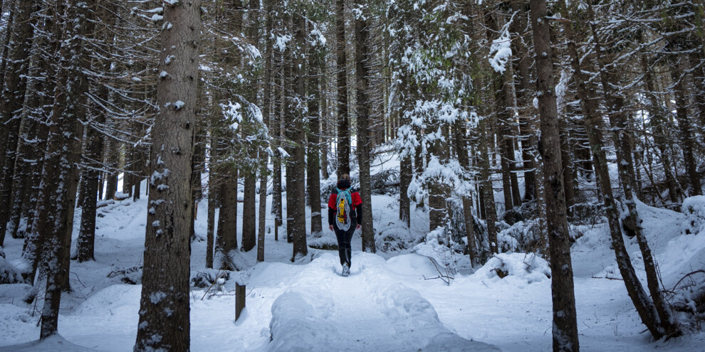 Среди подвесных и невидимых мостов