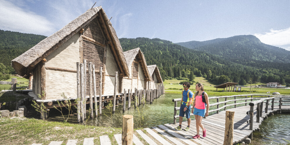 Конюшни, леса… и палафиты