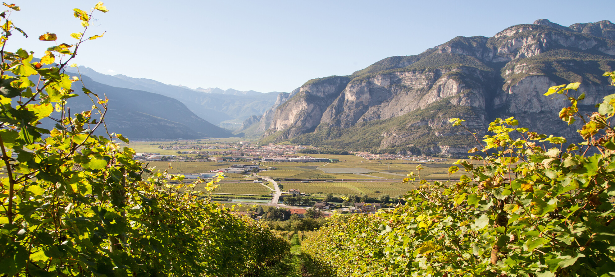 Драгоценный красный рубин