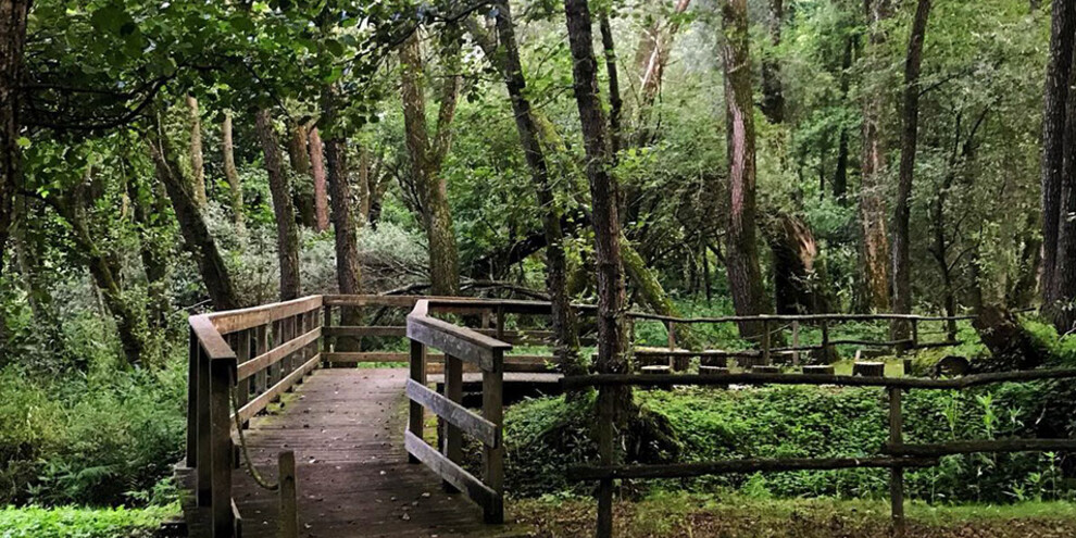 Biotop w Roncegno, Valsugana