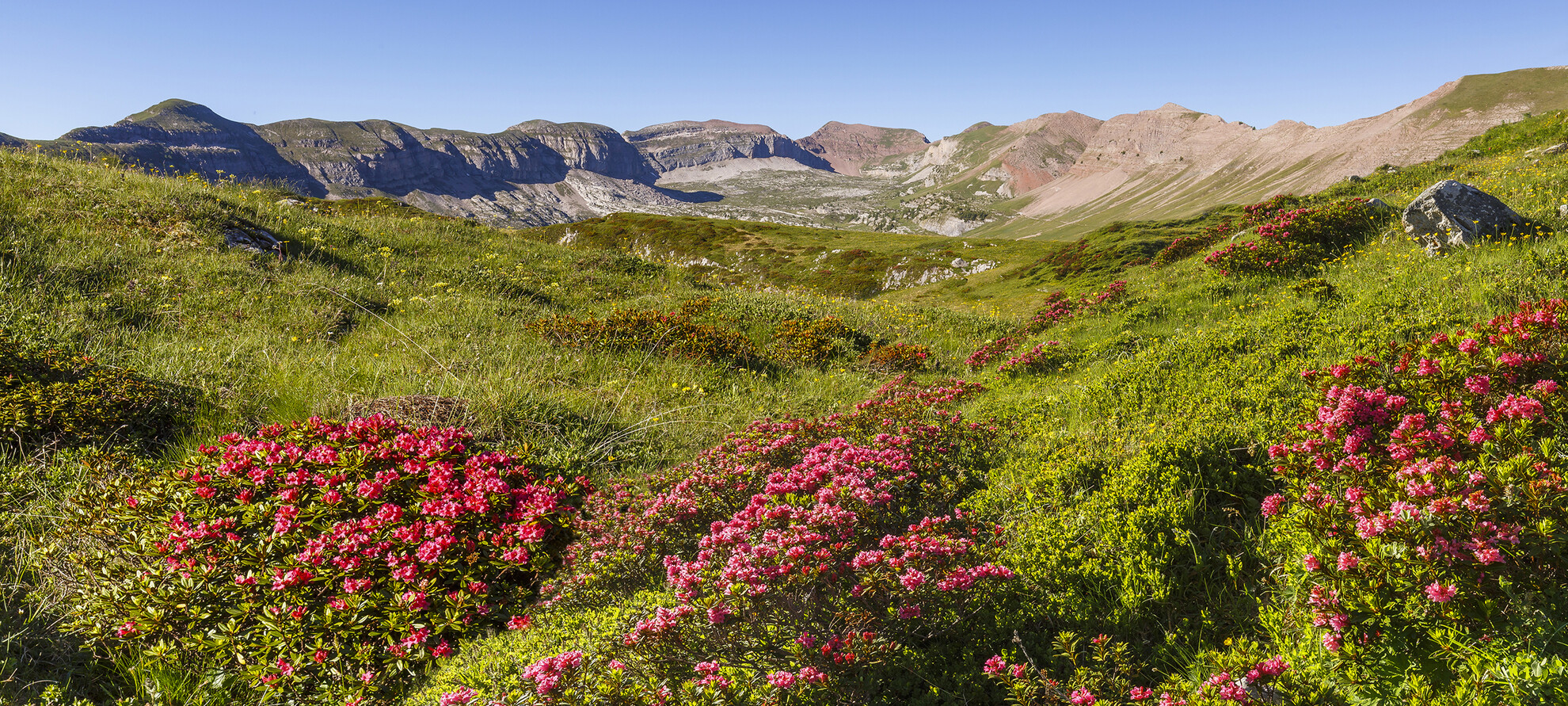 Die Kraft der Natur