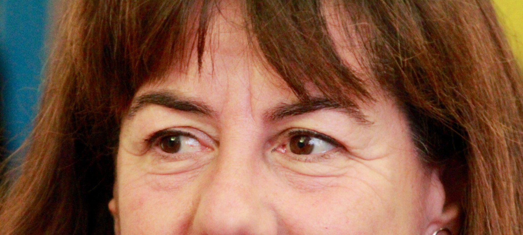 La SAT compie 150 anni e festeggia la storia e il futuro del Trentino