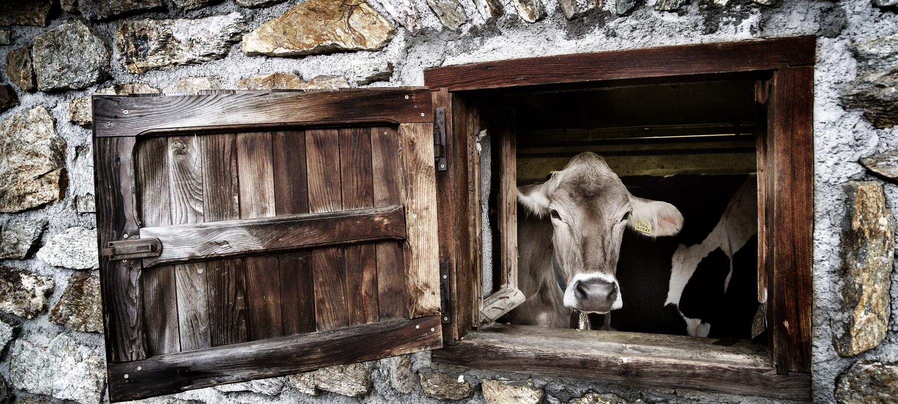 Educational Farms in Trentino