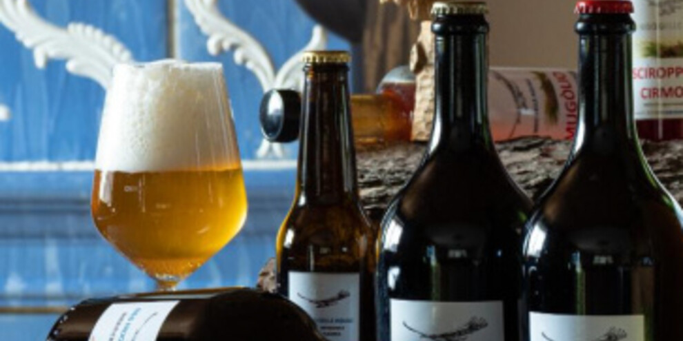 Дворцы баронессы