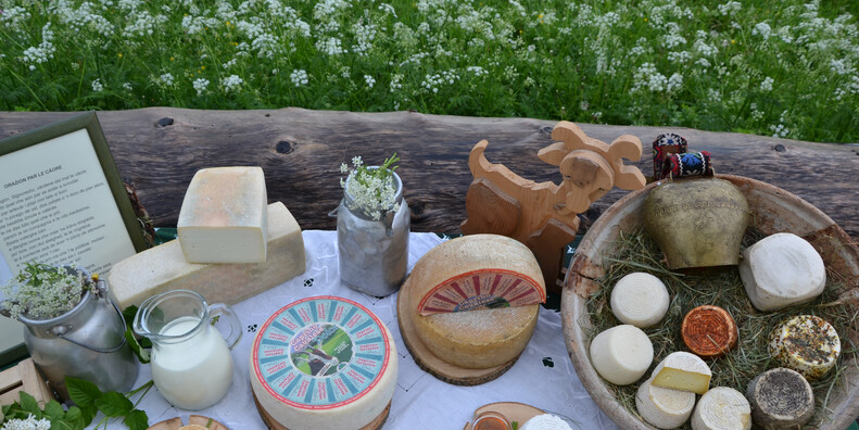 Caprino di Cavalese #1