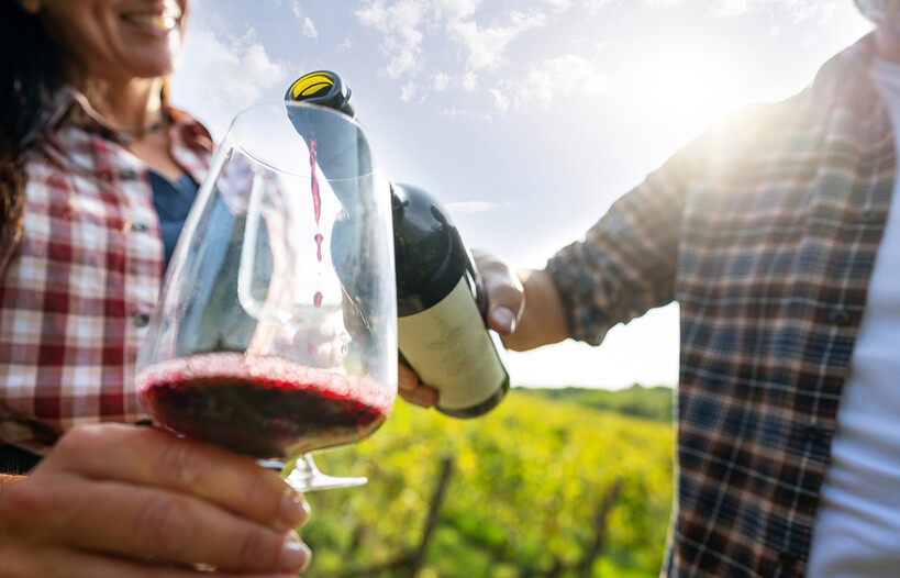 Посети все винодельни Терольдего