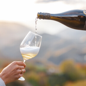 Die Perlen der Berge