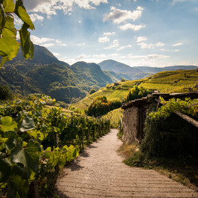 Lente in Val di Cembra