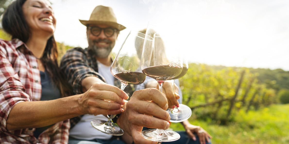 F&A Trentino | Wo liegt das Trentino? Wofür ist das Trentino berühmt?