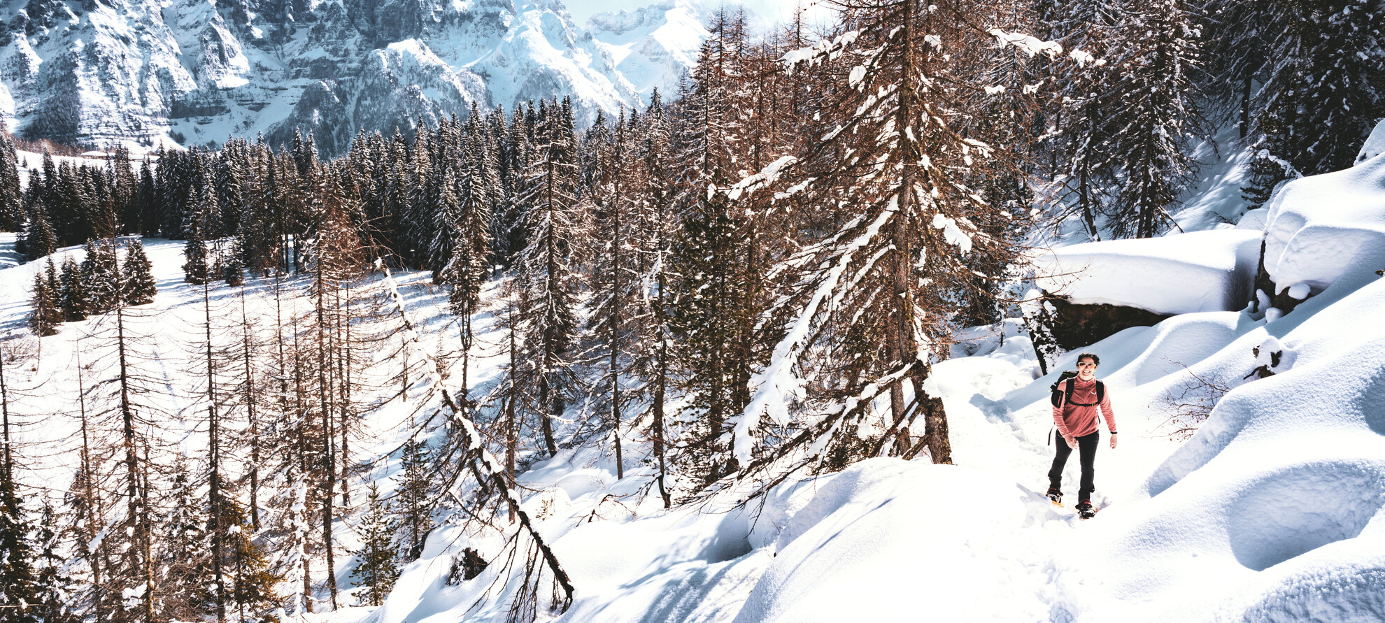 Запах снега