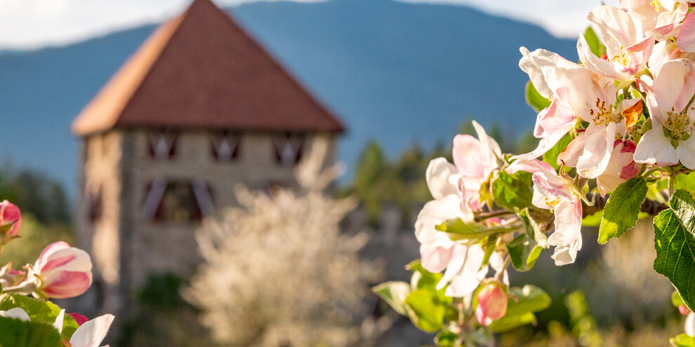 Unterwegs auf den Straßen des Genusses