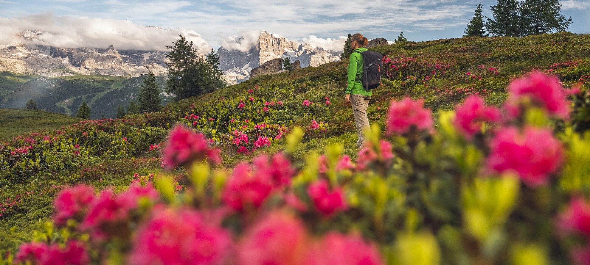 Beloften van schoonheid