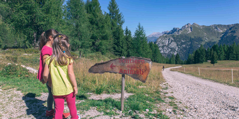 Szlak wśród zwierząt, Val di Fassa