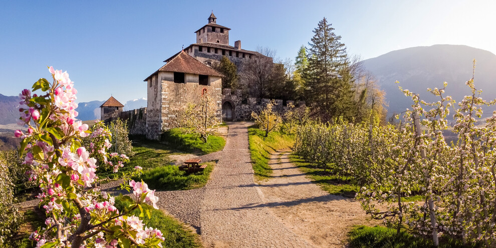 Quattro Ville in fiore
