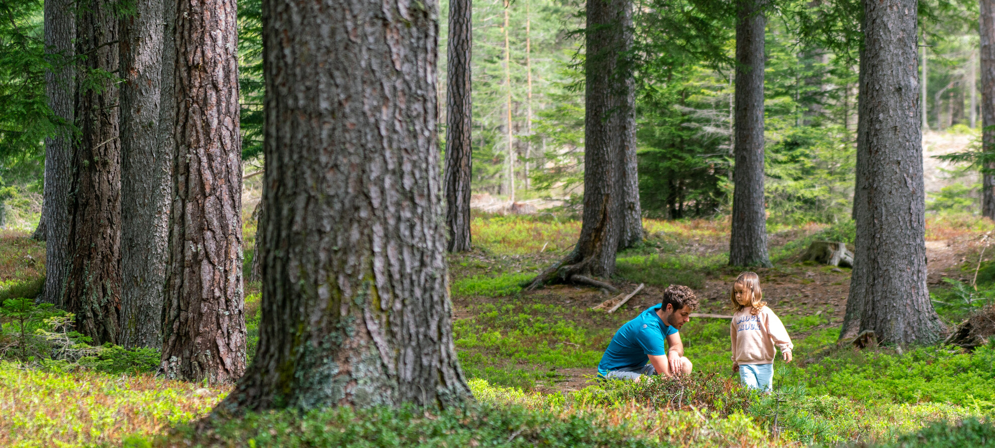 Val di Fiemme - Cavalese - Famiglia passeggia nel bosco | © Aringa Studio