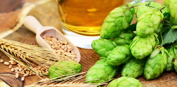 A tutta birra!