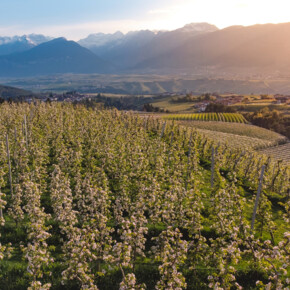 Val di Non | © Paolo Crocetta