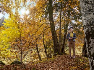 Роверето, долина Валлагарина, плоскогорье Брентонико 