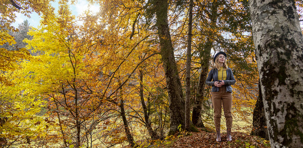 Dove ammirare il foliage