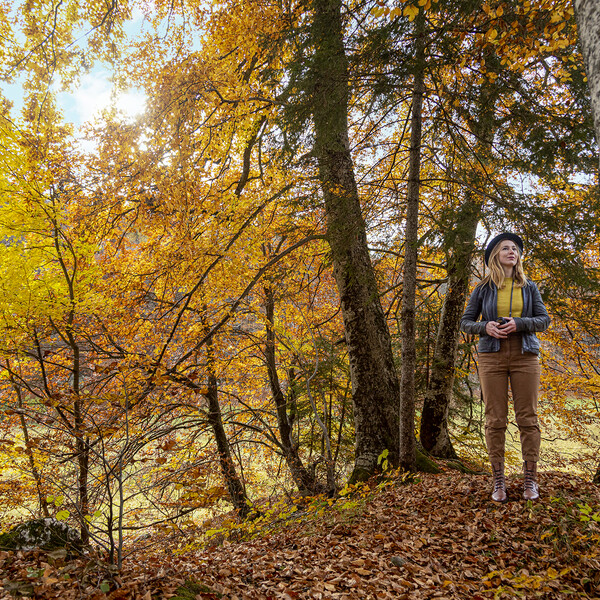 Осенний листопад