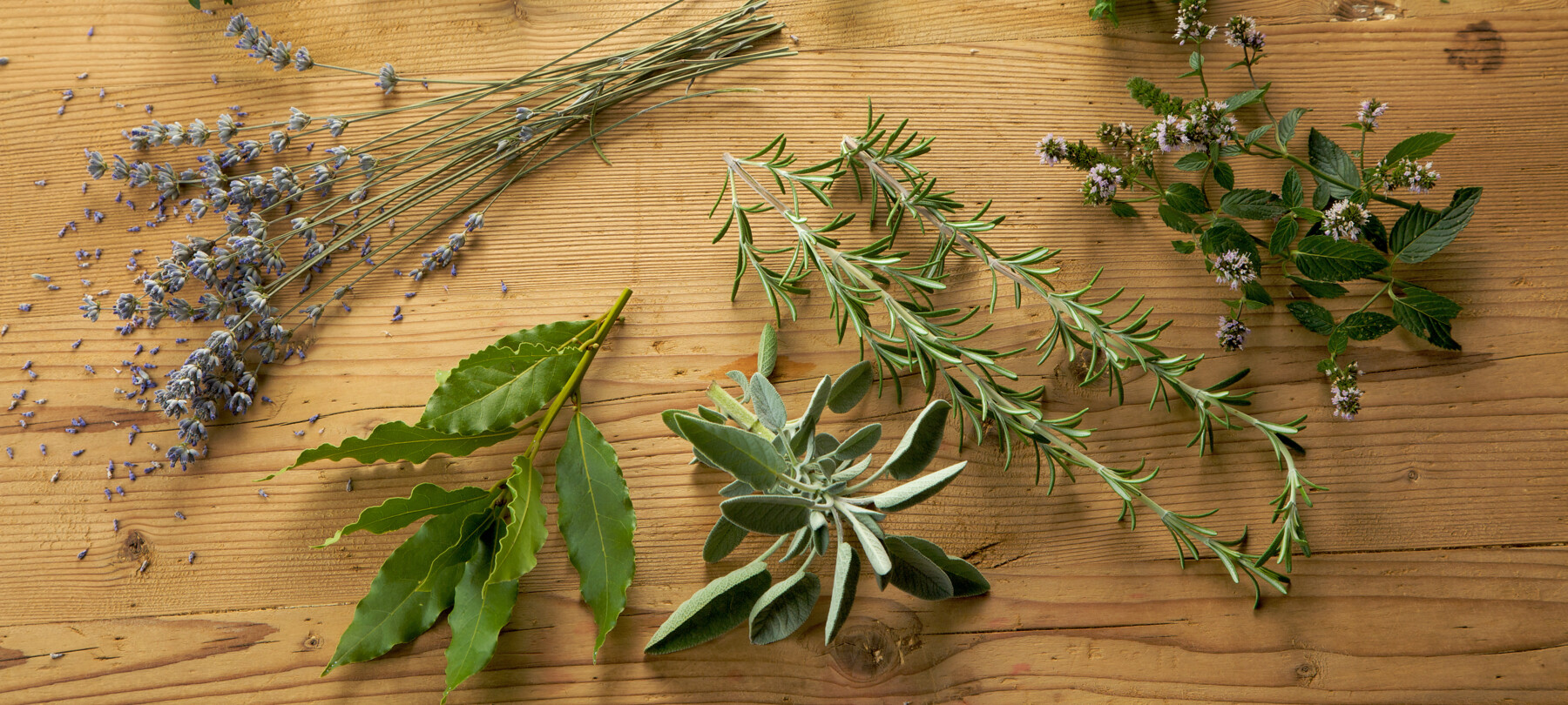 Christmas shopping with Trentino products