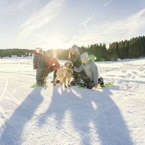 Family holiday offers