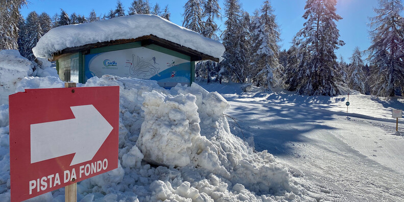 Centro Fondo Regole di Malosco  #1 | © Archivio fotografico APT Val di Non