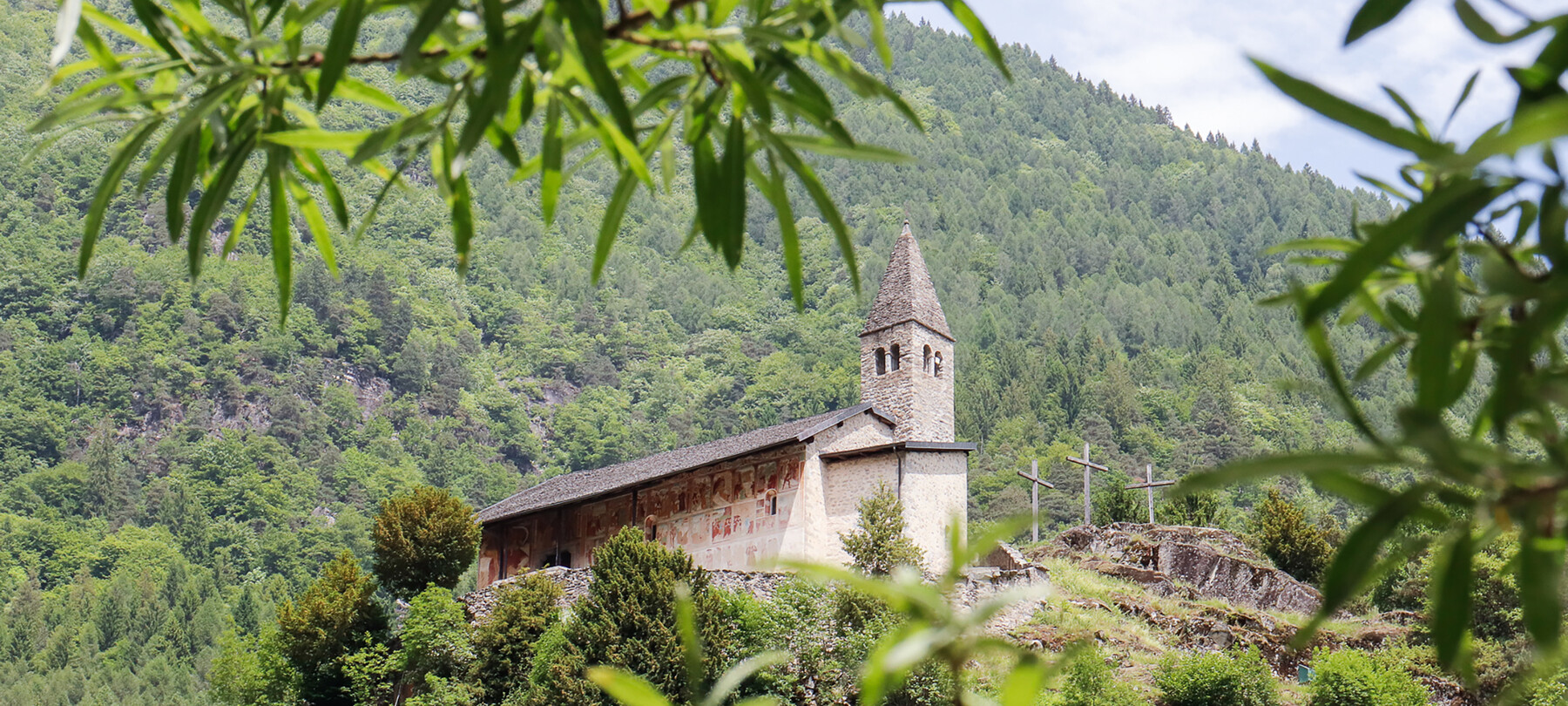 Kirche von Santo Stefano di Carisolo. Die Kirche steht auf einem Granitfelsen. Dahinter klettert der Wald den Berg hinauf: Das Grün der Bäume vermischt sich mit dem der Blätter, die im Vordergrund verschwommen das Bild einrahmen. Auf der Südseite der Kirche, die auf dem Foto verewigt ist, sind in der Ferne Fresken zu erkennen. Die Kirche hat einen kleinen steinernen Glockenturm, und rechts davon ragen drei Holzkreuze hervor.
