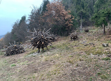 Cinque grandi sfere di rami intrecciati riempiono l’immagine. Da ognuna fuoriescono rami e tronchi dritti, come raggi di un sole legnoso. Una di queste installazioni, quella più a sinistra, è in realtà una semisfera: l’impressione è che stia uscendo dal terreno, o che si stia inabissando. Intorno, il bosco. Sullo sfondo, il cielo grigio di una giornata nuvolosa.